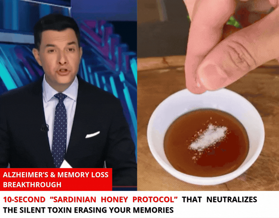 The Honey Protocol presentation